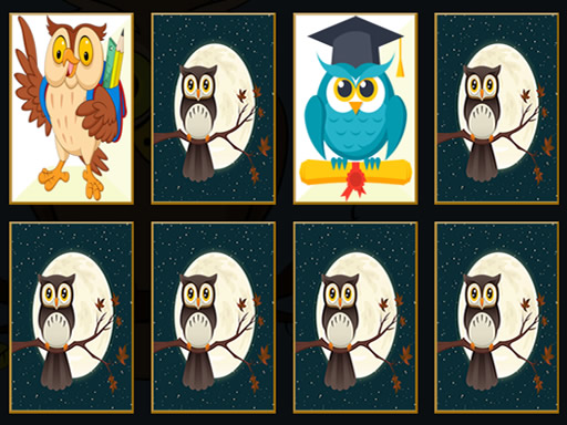 Drăguță Owl Memory